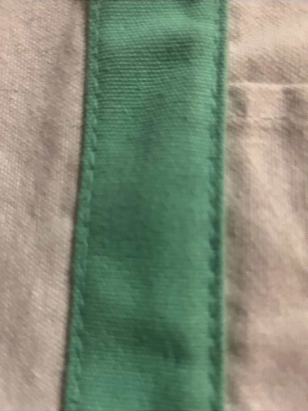 Trader Joe’s Mini Canvas Tote/Lunch Bag Pastel Mint Green Natural Reusable 13” - Picture 3 of 10